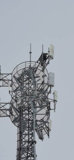 大雪時節(jié)，電信服務(wù)溫暖如約——記信息咨詢服務(wù)的堅(jiān)守與溫度